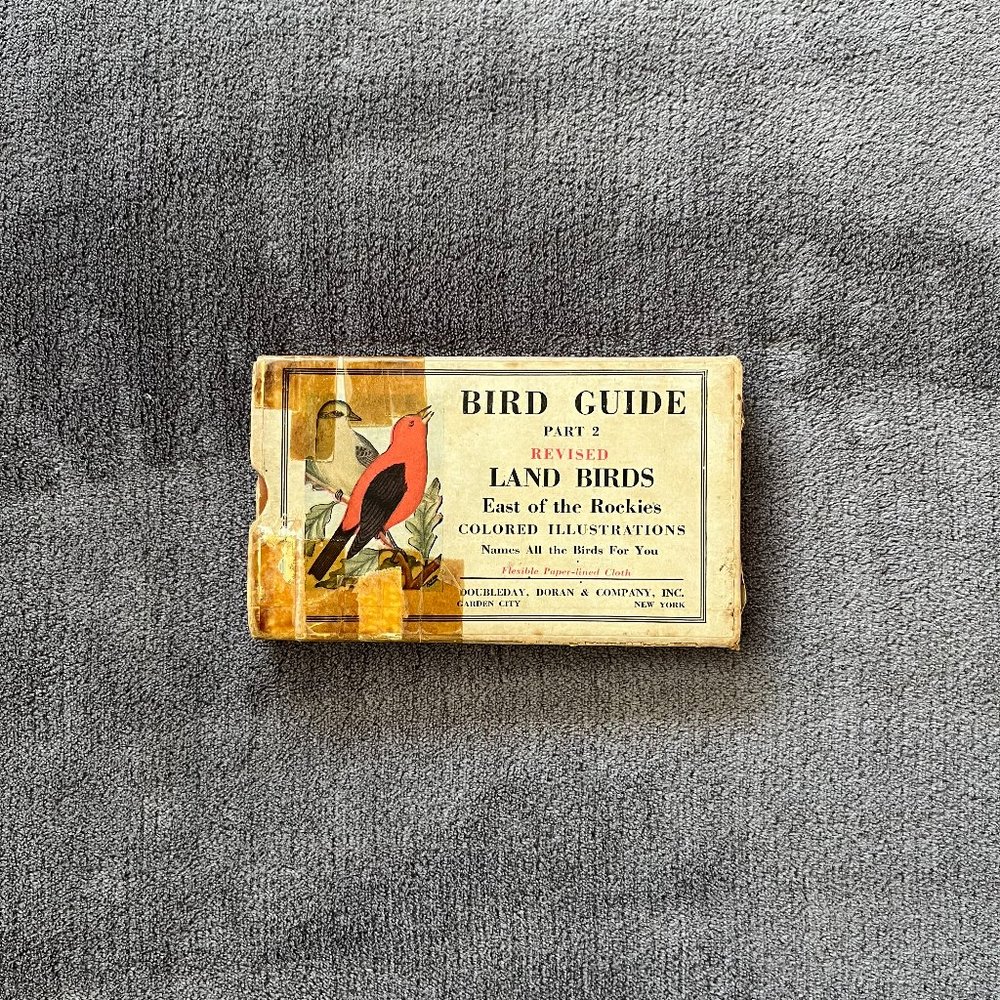 Bird Guide Part 2 Revised Land Birds East of the Rockies Pocket Manual 1929